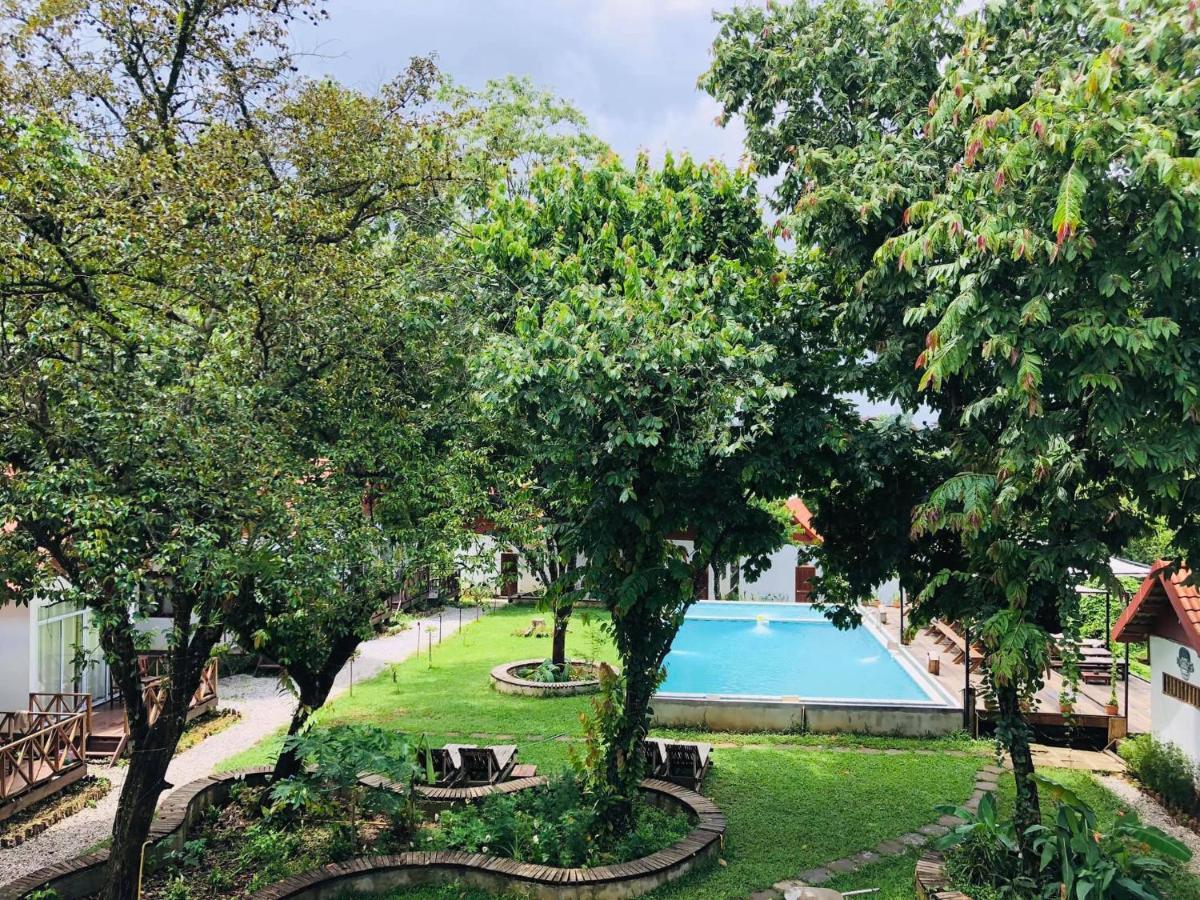 Jungle Paradise Vangvieng - Bungalows Vang Vieng Ngoại thất bức ảnh